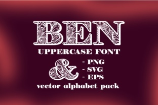 Ben: A Comprehensive Evaluation for Informed Decision-Making