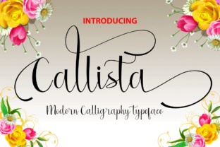 Callista: A Versatile Tool for Modern Problem-Solving