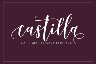 Castilla as a Workflow Enhancer for Modern Professionals