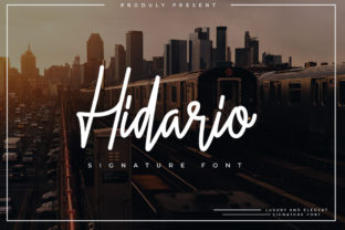 Hidario: Creative Possibilities