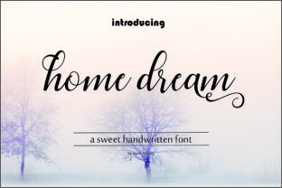 Home Dream Script: A Practical Tool for Creative and Professional Use