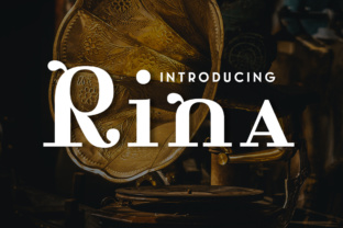 Rina: A New Era in Digital Interaction and Productivity