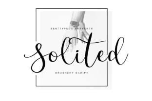 Solited: A Practical Guide for Real-World Use