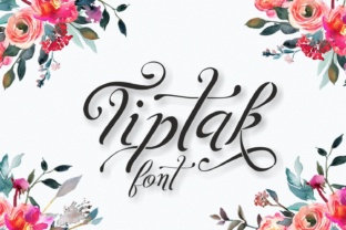 Understanding Tiptak: A Practical Overview for Informed Decision-Making