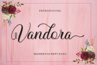 Vandora: A Comprehensive Look at Its Features and Use Cases